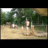 MFG_Tewel_Friends_Sommertreffen_2006_13.jpg